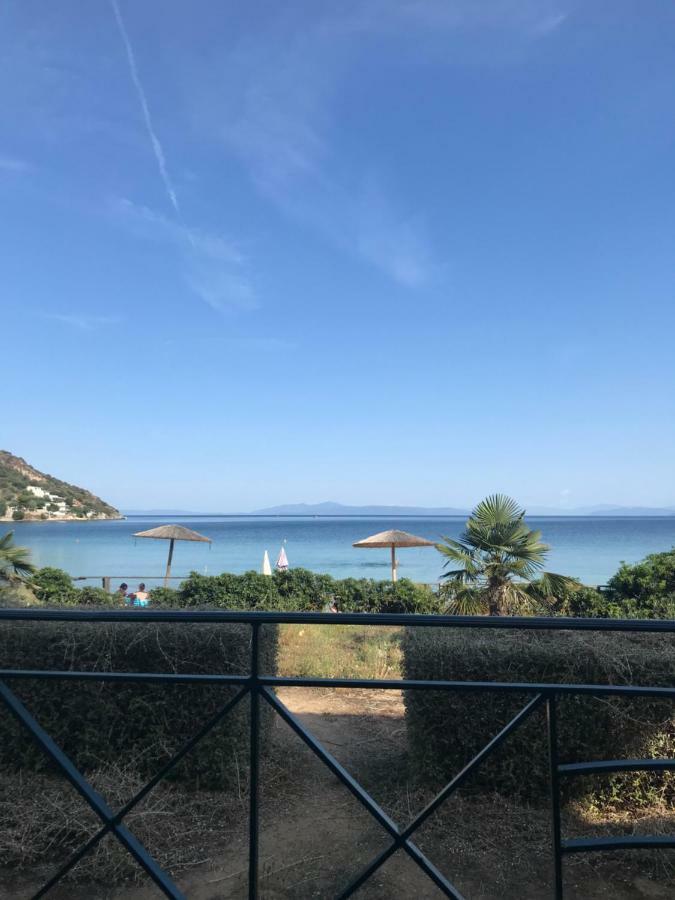 Boutique Apartment Golos Dış mekan fotoğraf